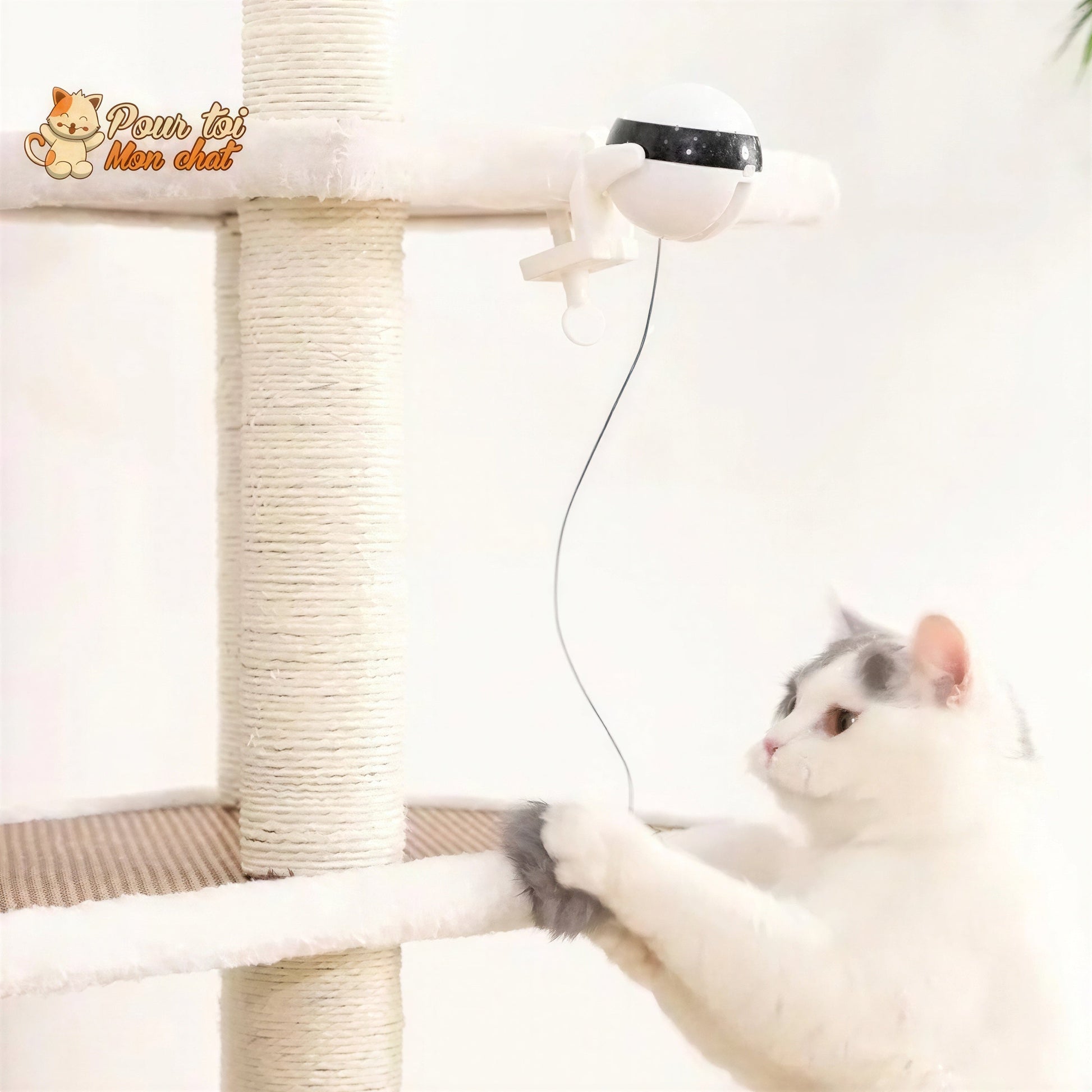 Balle Interactive pour chat - Attrap'Ball™ Pour toi Mon chat