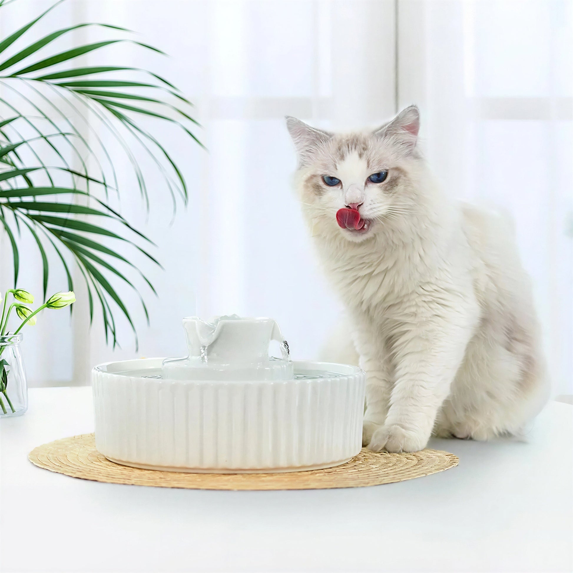 Fontaine à boire en céramique avec filtre pour chat Pour toi Mon chat