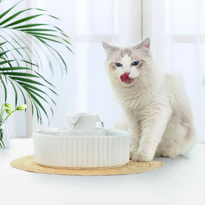 Fontaine à boire en céramique avec filtre pour chat Pour toi Mon chat