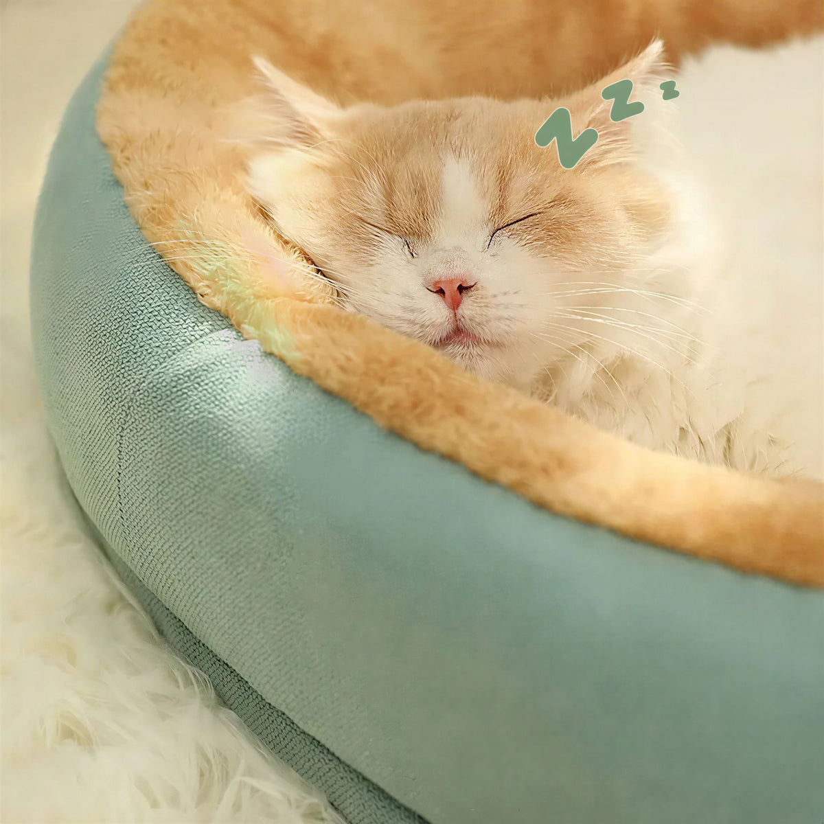 Chenil antidérapant pour gros chat Pour toi Mon chat