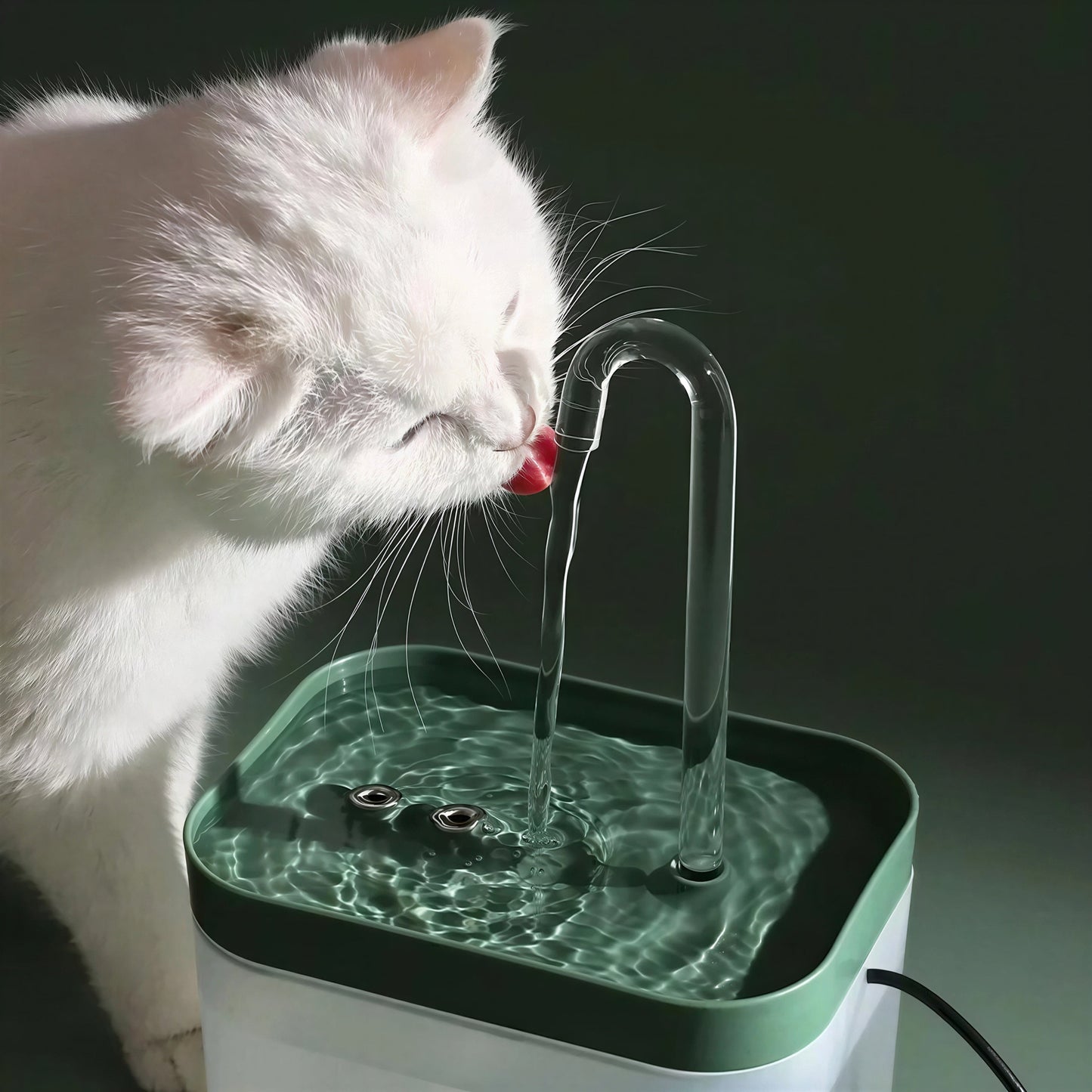 Distributeur Eau Chat Style Fontaine avec Filtre Pour toi Mon chat