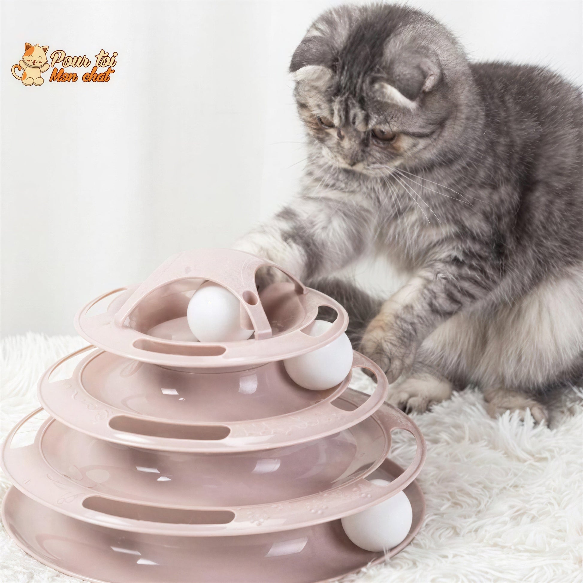 Jouet pour Chat avec Balles - Jeu2pistes™ Pour toi Mon chat