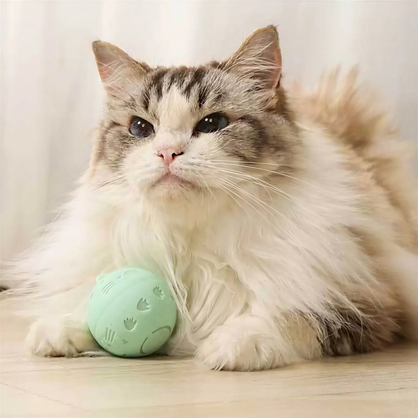Balle sautante interactive verte rechargeable pour chat - vue 2