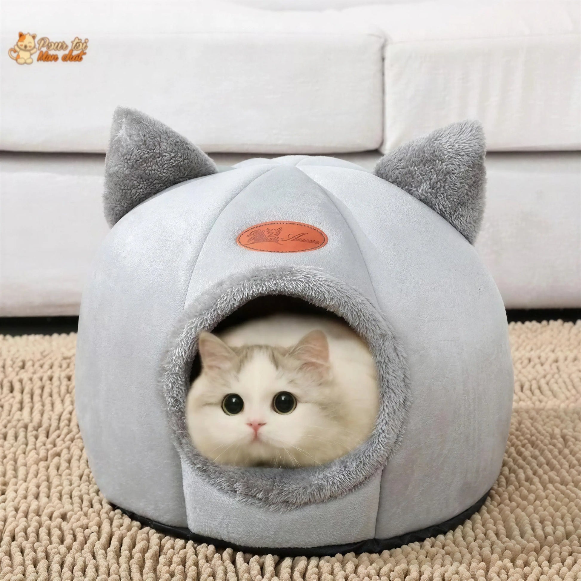 Niche pour Chat Interieur - Logis4cat™ Pour toi Mon chat