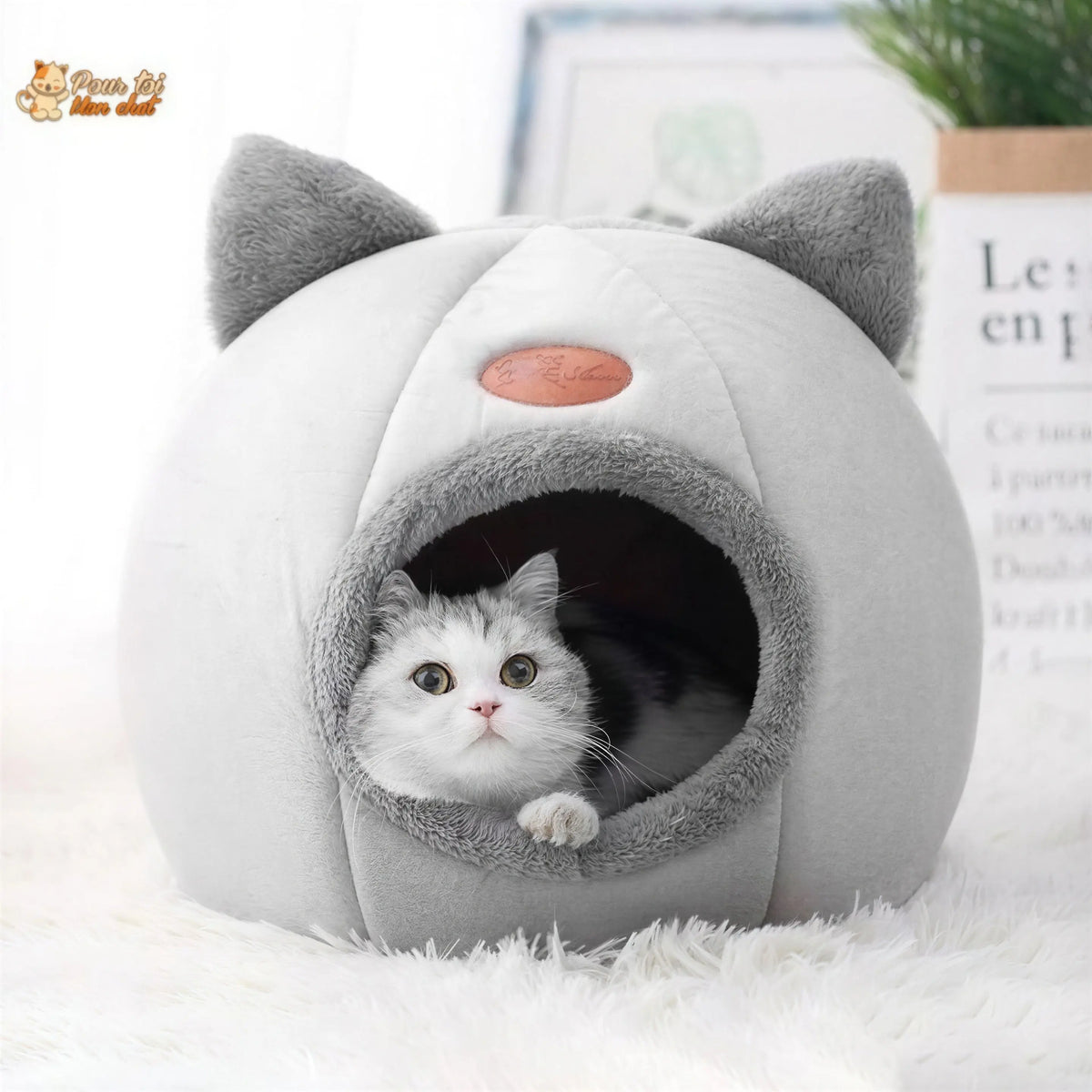 Niche pour Chat Interieur - Logis4cat™ Pour toi Mon chat