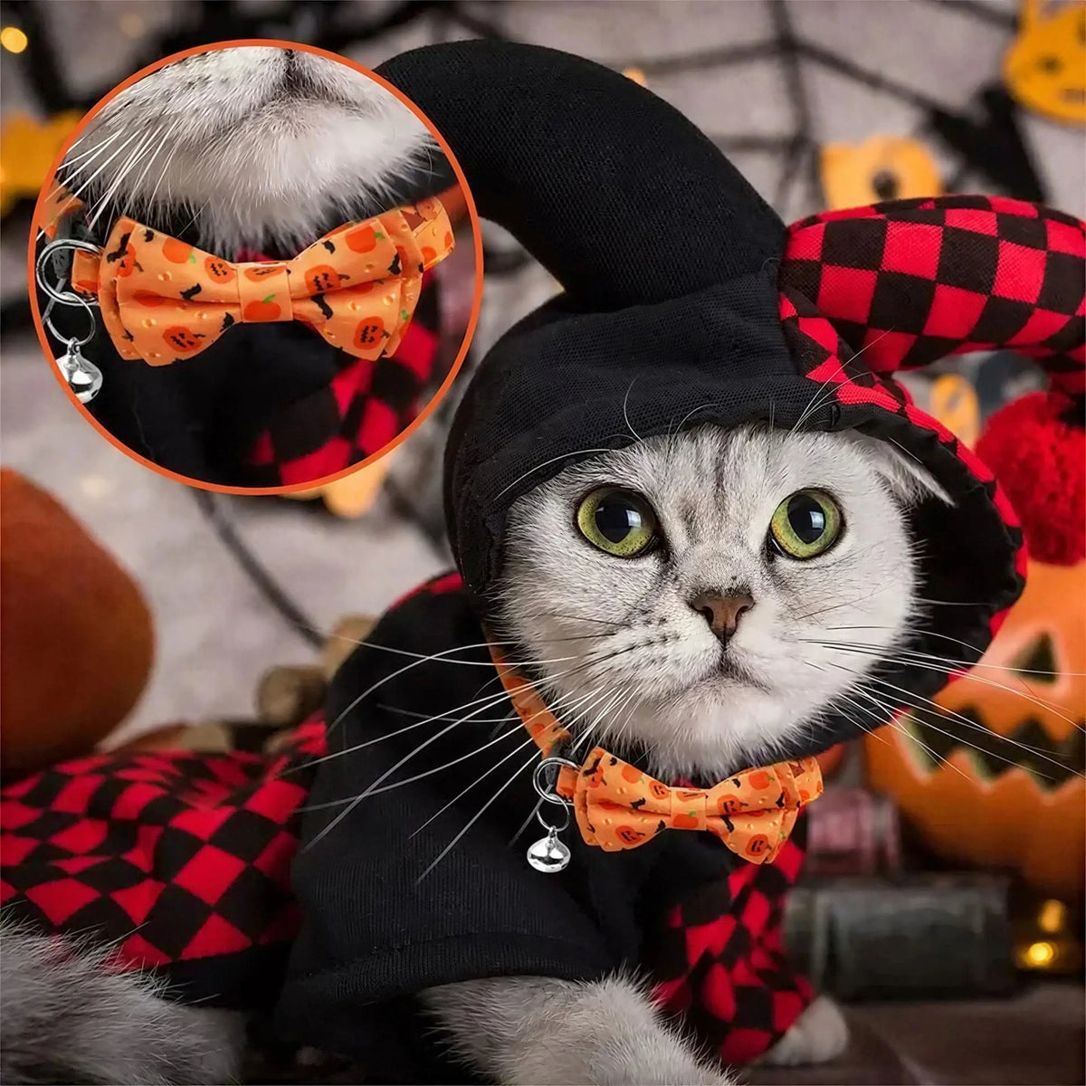 Noeud Papillon Halloween pour Chat Pour toi Mon chat