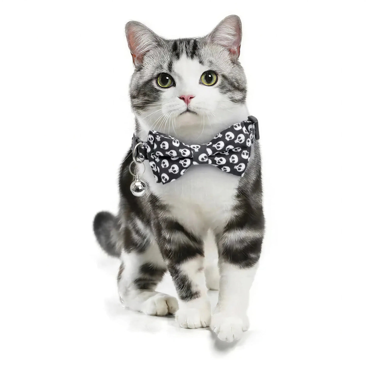 Noeud Papillon Halloween pour Chat Pour toi Mon chat