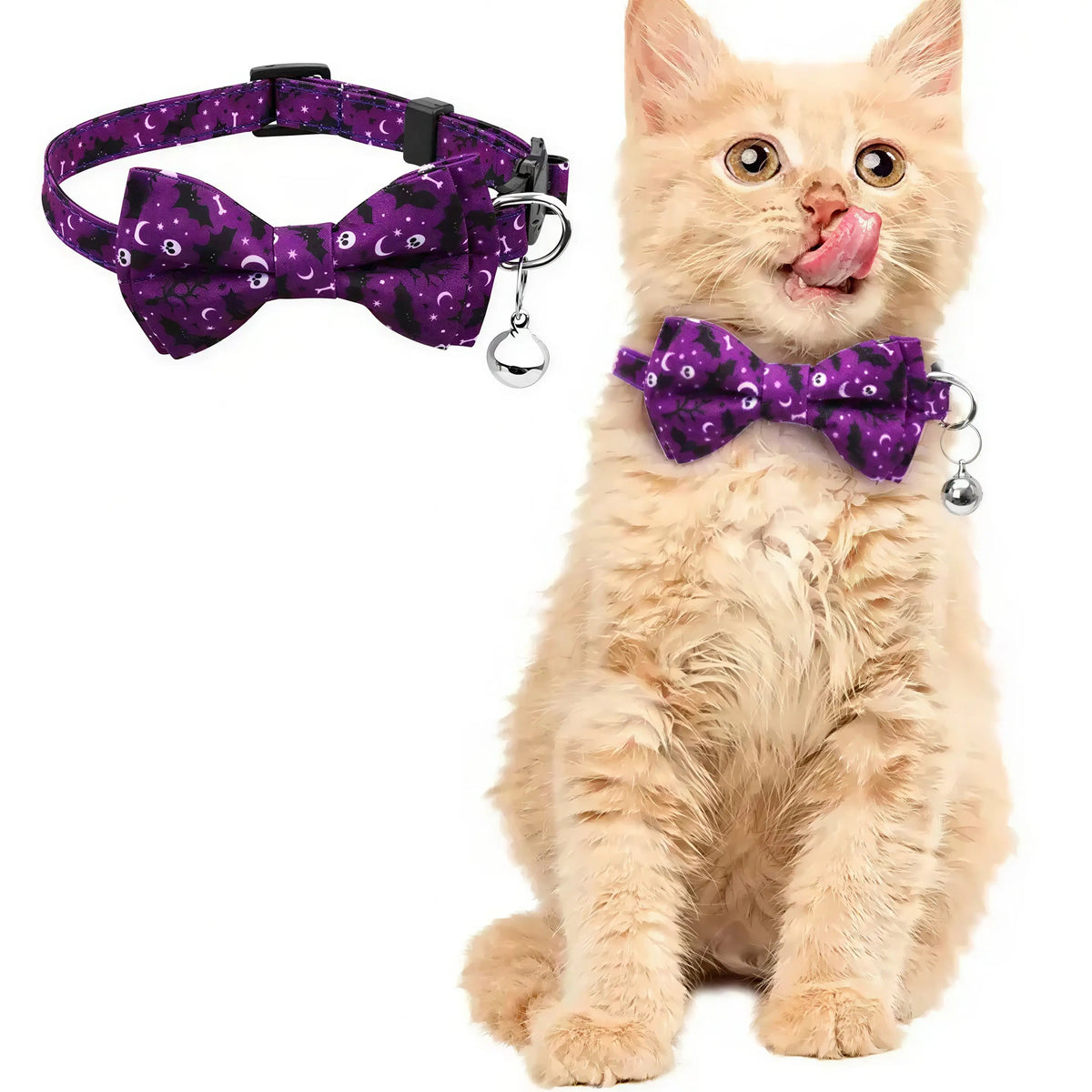 Noeud Papillon Halloween pour Chat Pour toi Mon chat