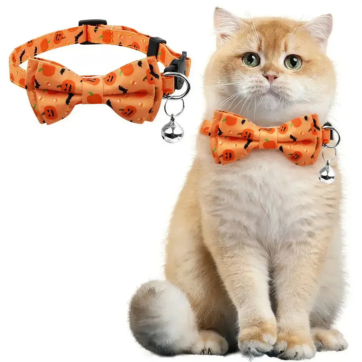 Noeud Papillon Halloween pour Chat Pour toi Mon chat