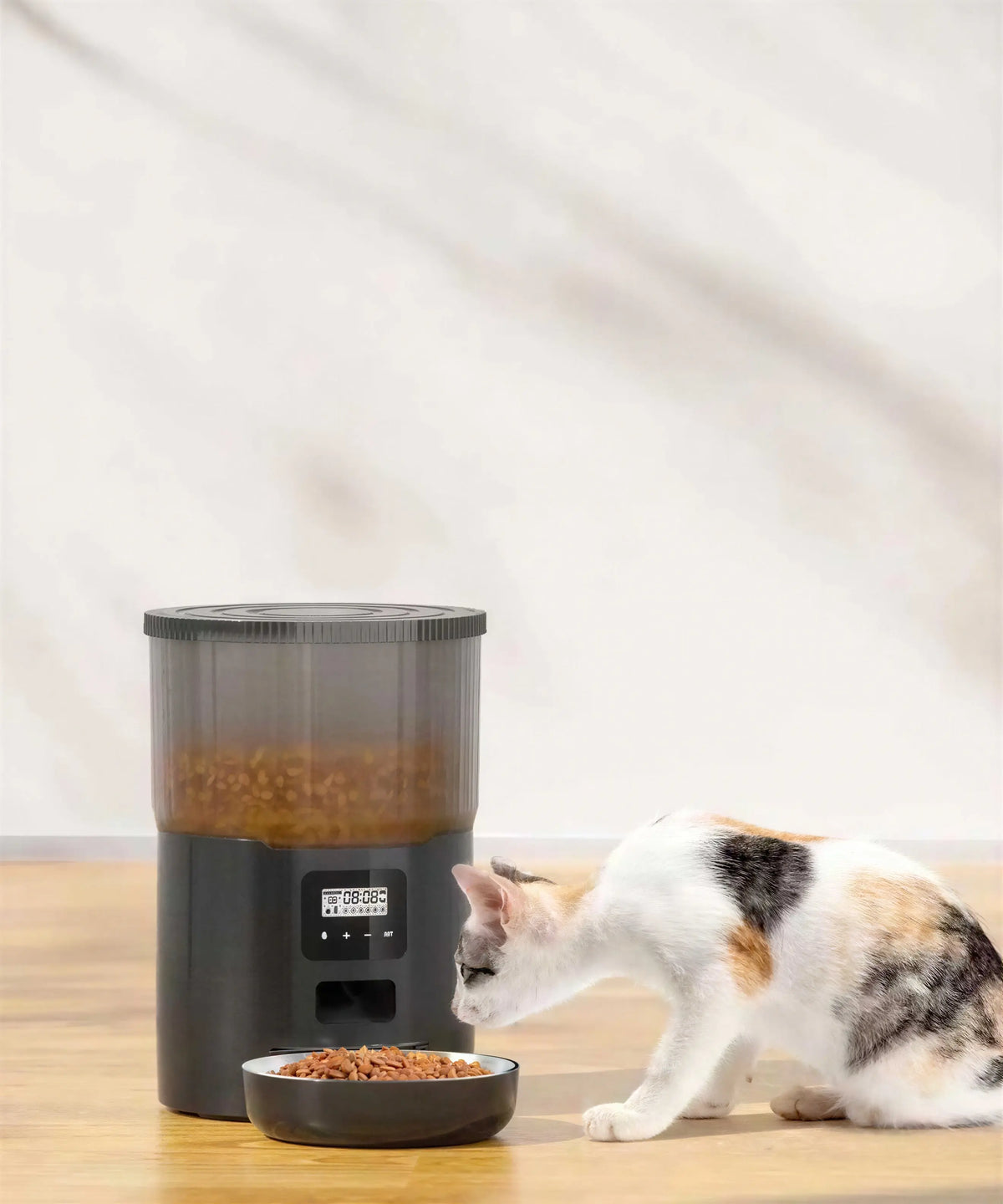 Nouveau distributeur de nourriture intelligent pour chats Pour toi Mon chat
