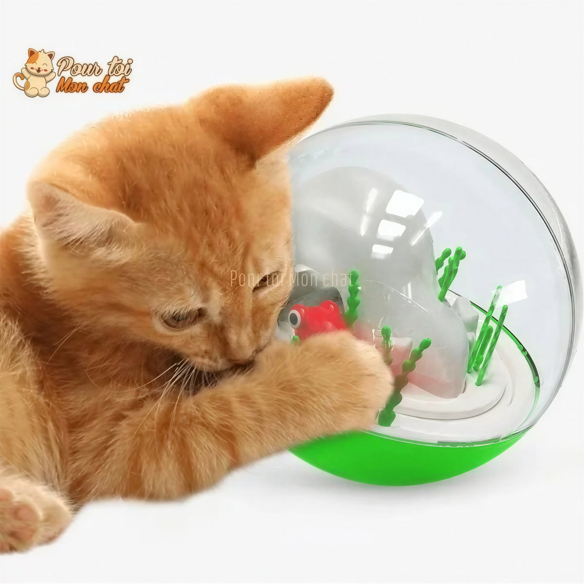Balle de jeu interactive “aquarium” pour chat - AQUA'CHAT™ Pour toi Mon chat