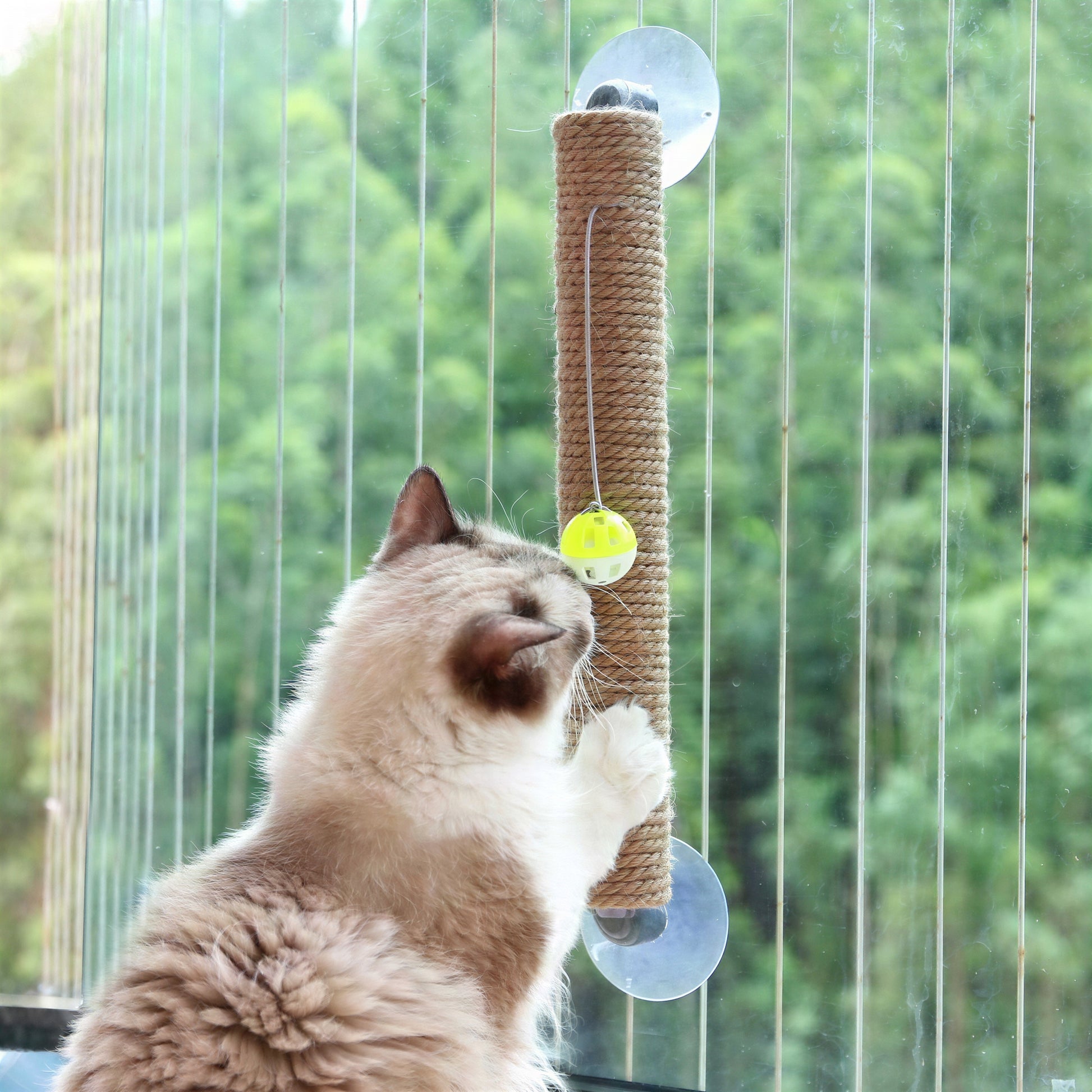Jouet à gratter avec boule pour chat - vue 4