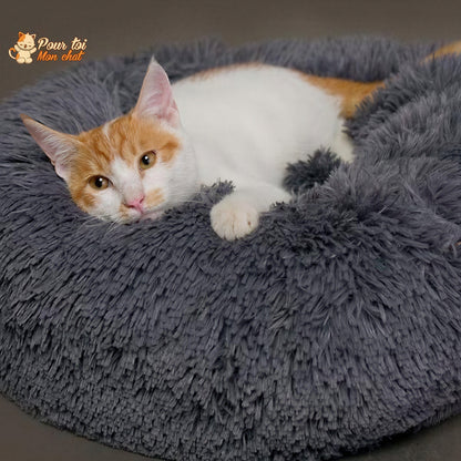 Coussin Douillet pour Chat - CoussinooRelax™ Pour toi Mon chat