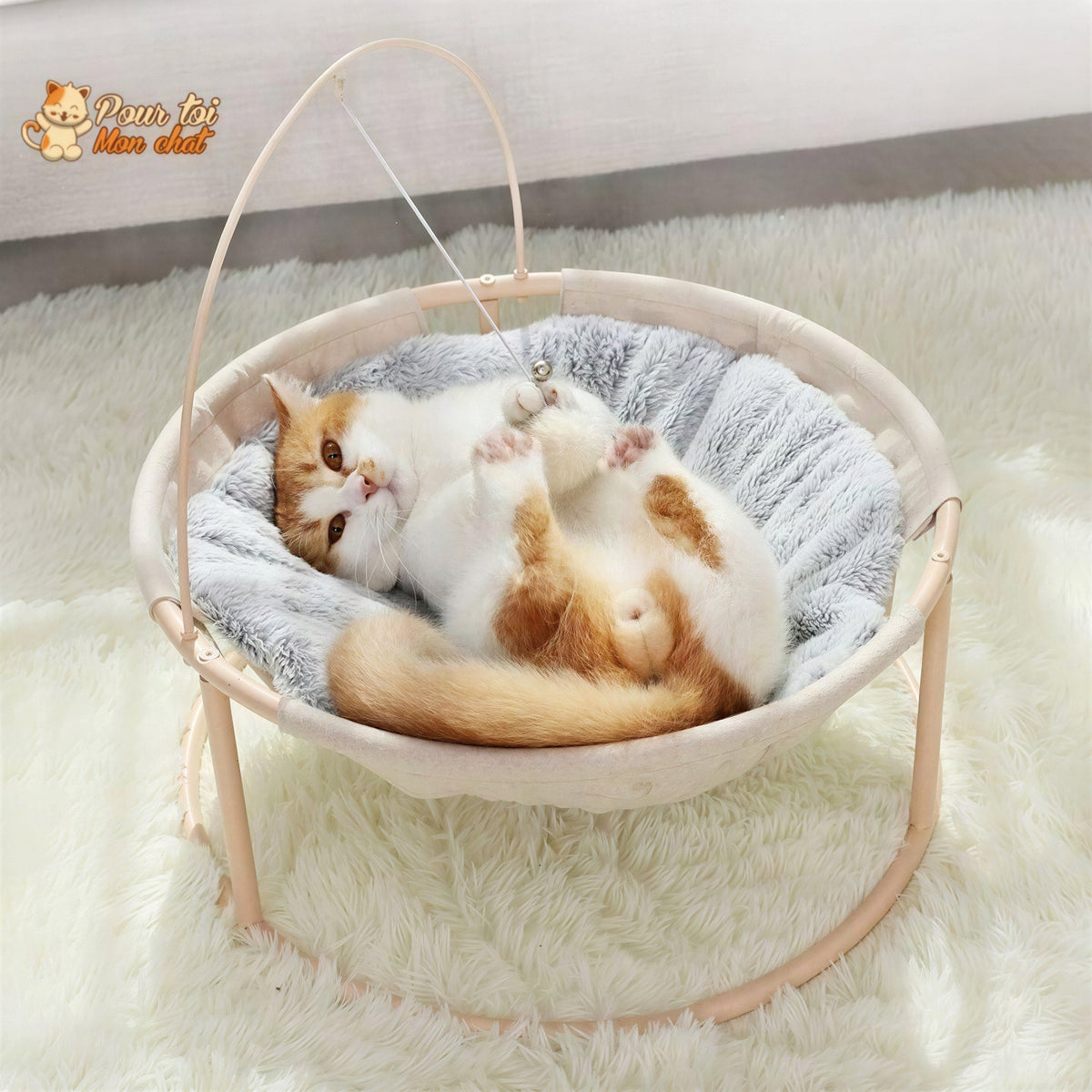 Panier Suspendu avec un Jouet - Hamac4cat™ Pour toi Mon chat