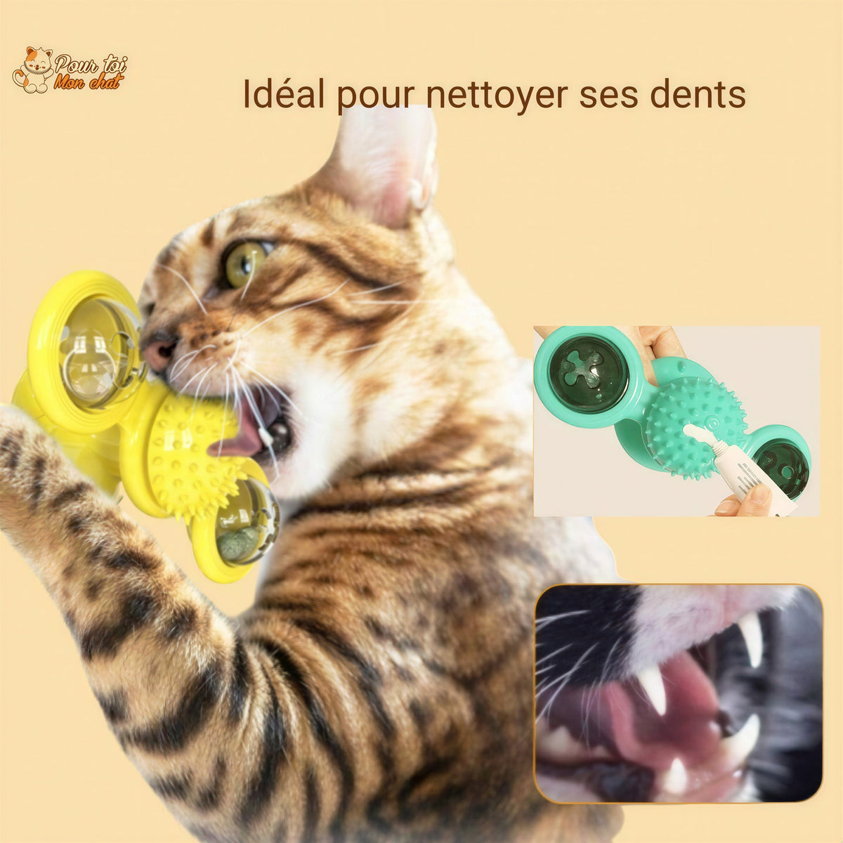 Jeu Mobile Tournant - Toupie'Cat™ Pour toi Mon chat
