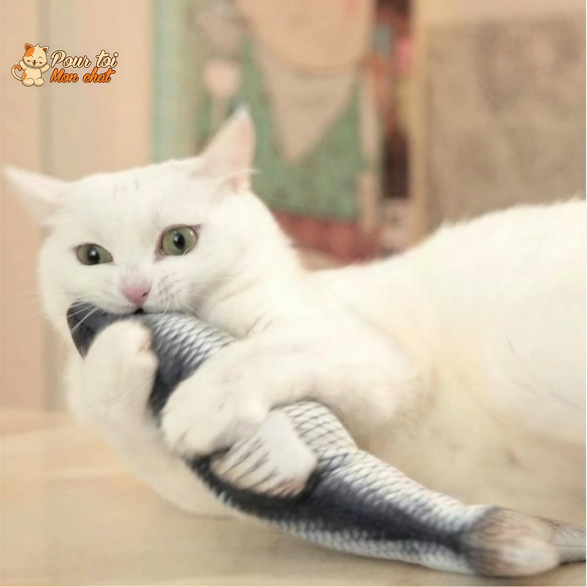 Poisson Sauteur Jouet pour Chat - Attrap'Fish™ Pour toi Mon chat