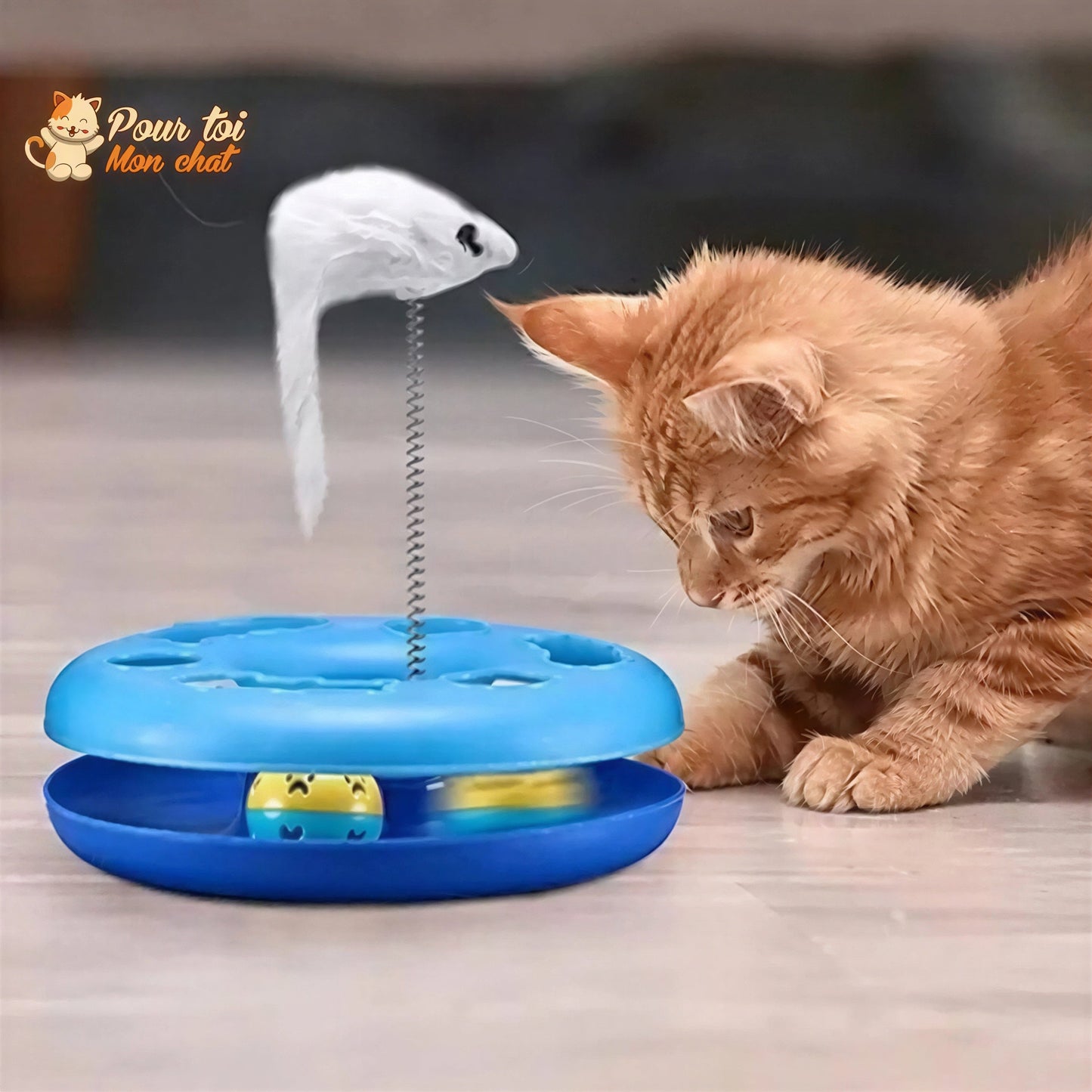 Jouet à balles et plumes : 2 jouets en 1 interactifs pour chat - Pilou-Pilou™ Pour toi Mon chat
