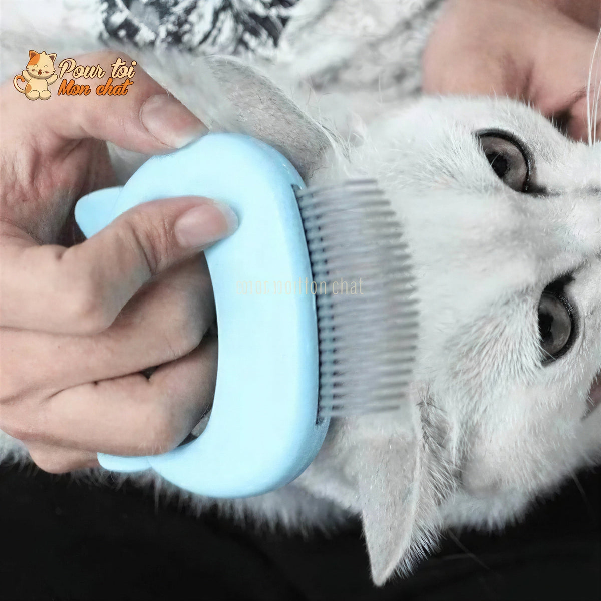 Peigne de toilettage et de massage pour chats – Grat’monChat™ Pour toi Mon chat