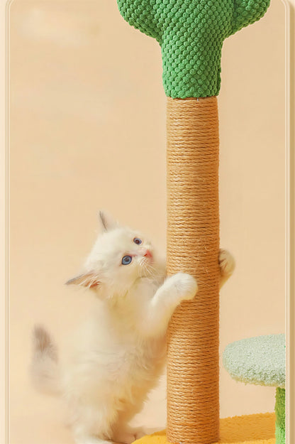 Planche à gratter à cactus pour chat Pour toi Mon chat