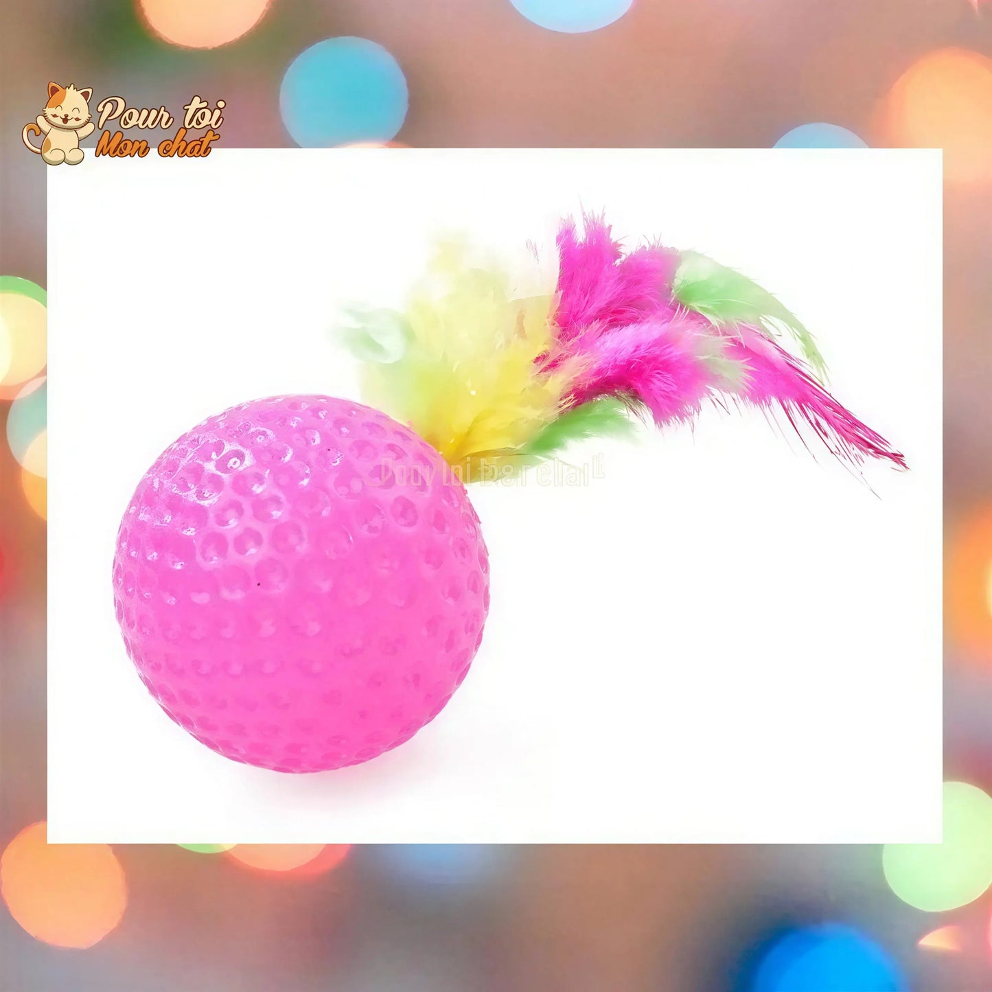 Pack de jouets divers et rigolos pour chat - TousmesJouets4Cat™ Pour toi Mon chat
