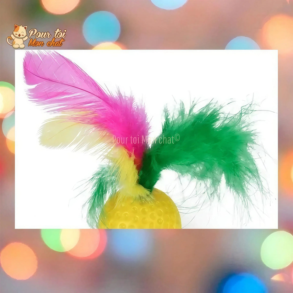 Pack de jouets divers et rigolos pour chat - TousmesJouets4Cat™ Pour toi Mon chat