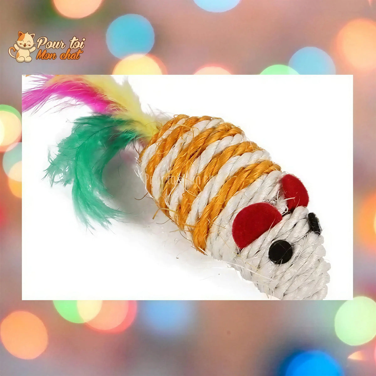 Pack de jouets divers et rigolos pour chat - TousmesJouets4Cat™ Pour toi Mon chat