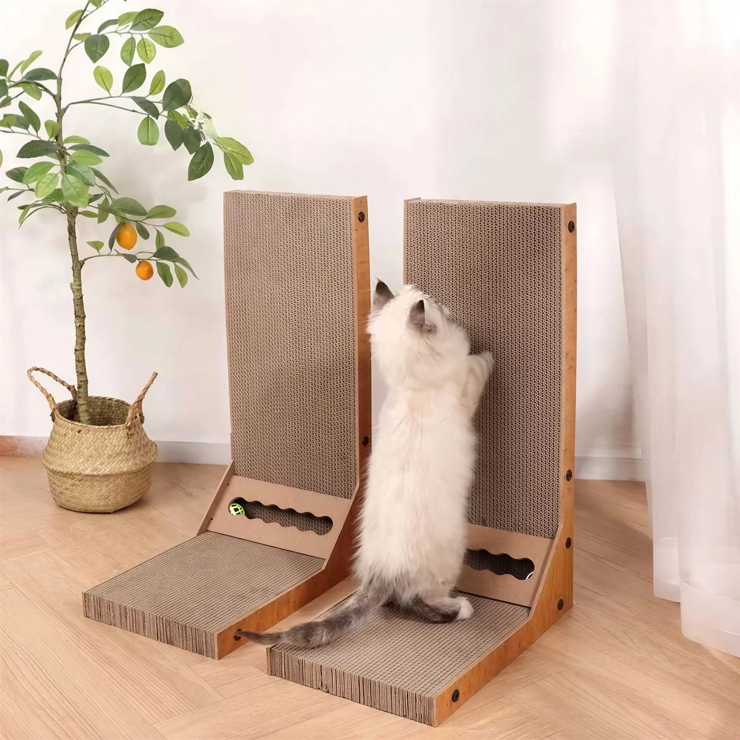 Planche à gratter détachable pour chat Pour toi Mon chat