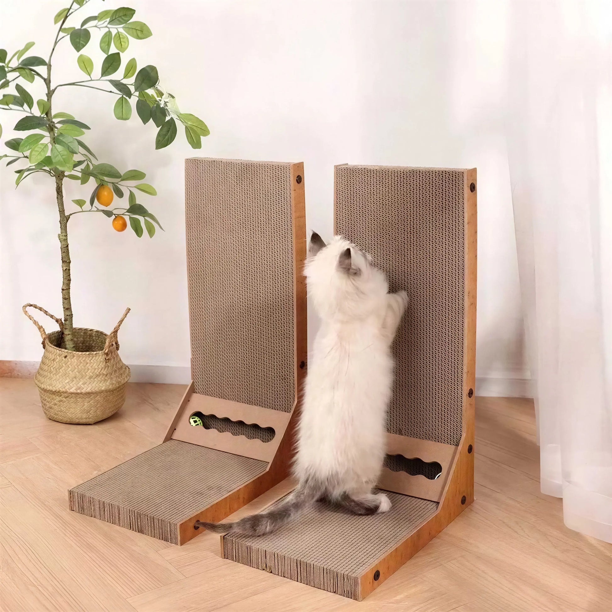 Planche à gratter détachable pour chat Pour toi Mon chat