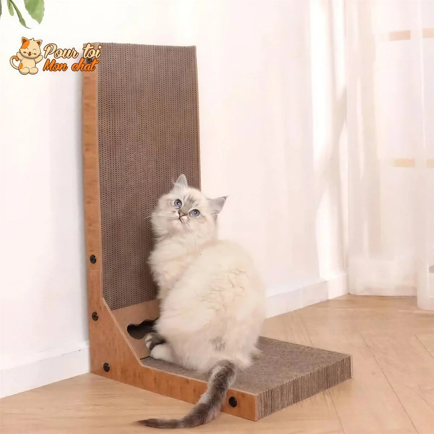 Planche à gratter détachable pour chat Pour toi Mon chat
