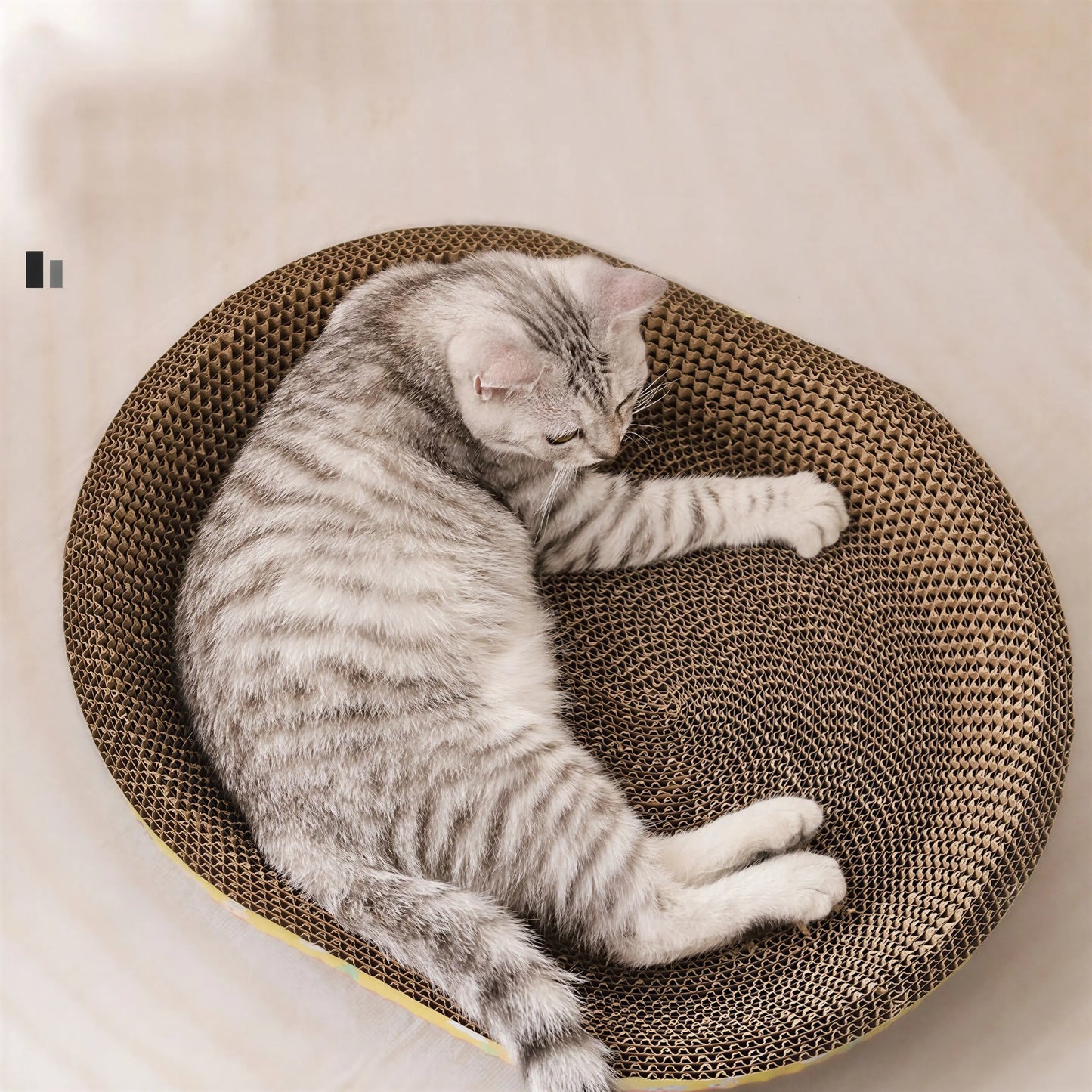 Planche à gratter pour ongles pour chat Pour toi Mon chat