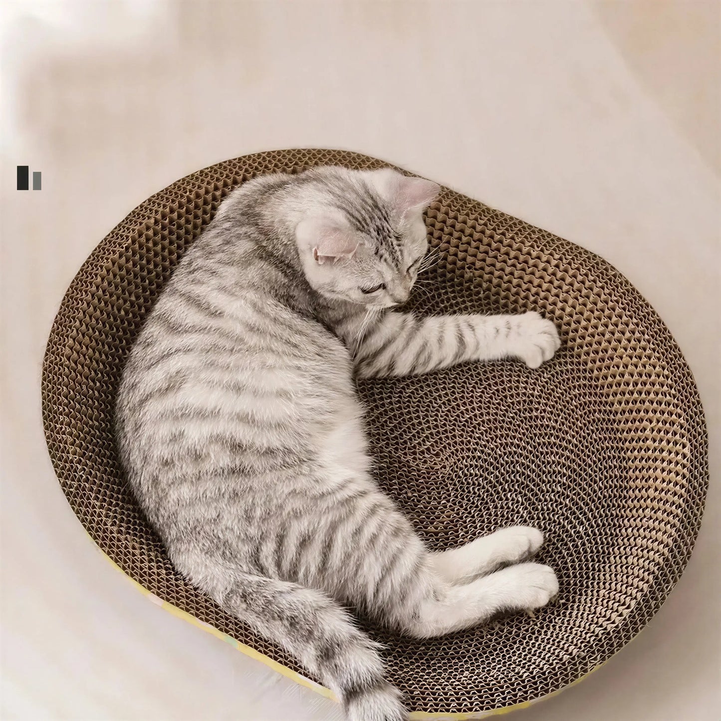 Planche à gratter pour ongles pour chat Pour toi Mon chat