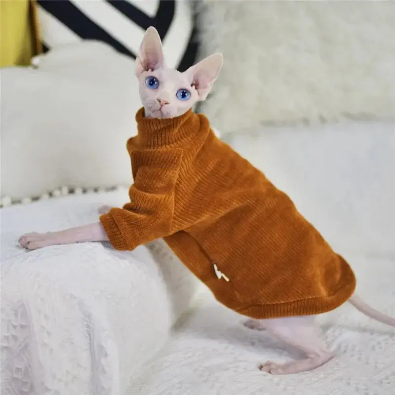 Pull Chat Élégant et Confortable Pour toi Mon chat