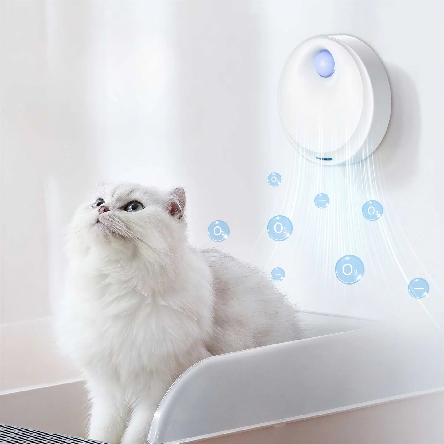 Purificateur intelligent de boîte à litière pour chat Pour toi Mon chat