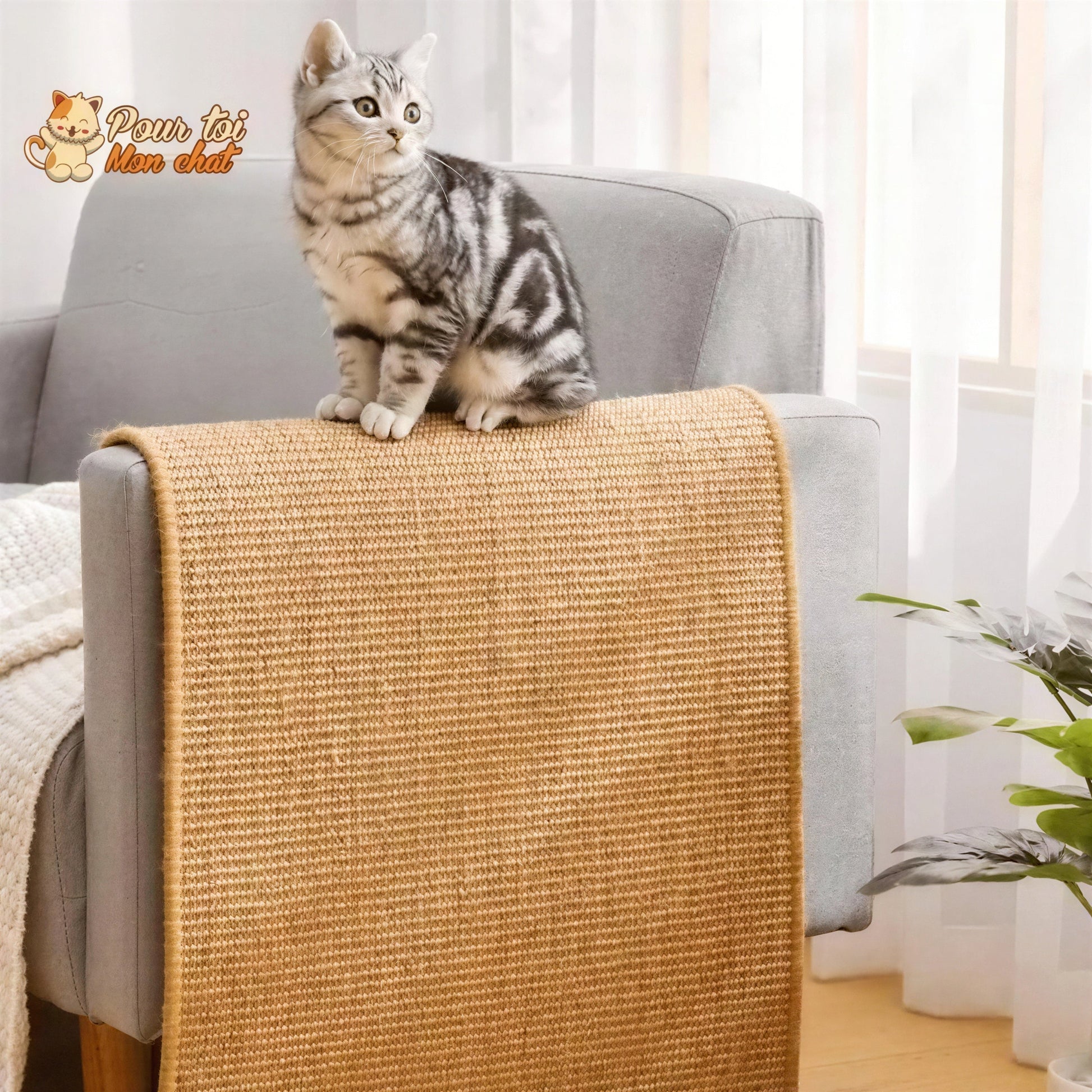 Tapis grattoir pour chats couvre meubles Pour toi Mon chat