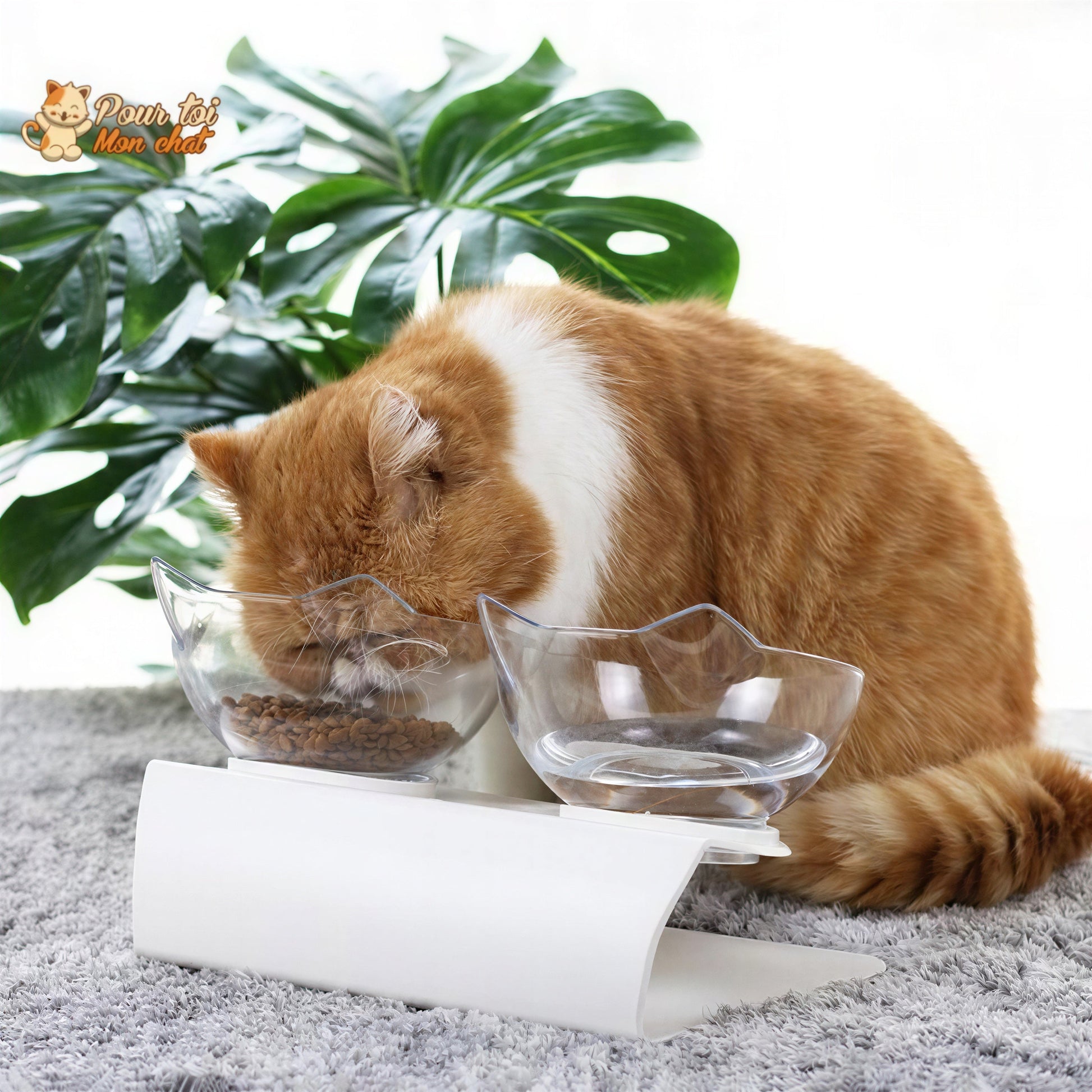 Gamelle Tête de Chat 2 en 1 - Cat'Twin'Bowl™ Pour toi Mon chat
