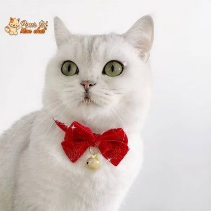 Noël - Nœud papillon de Noël - Pour Chat et Chien – Chat’nœud’Pap’™ Pour toi Mon chat