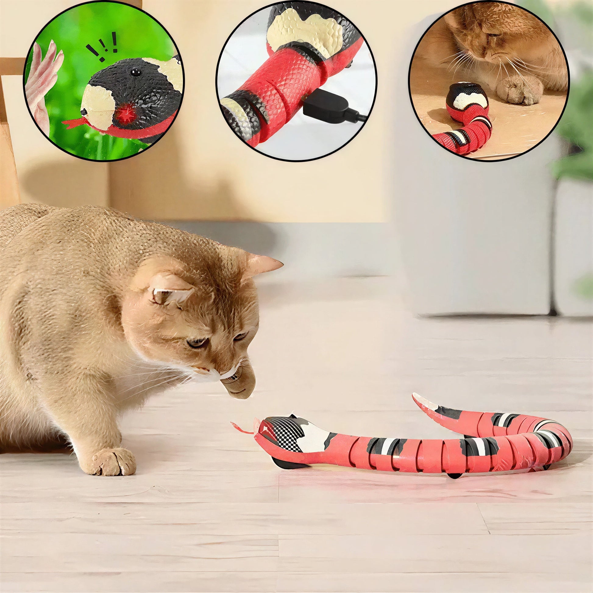 Jouet pour Chat - Serpent Interactif Pour toi Mon chat