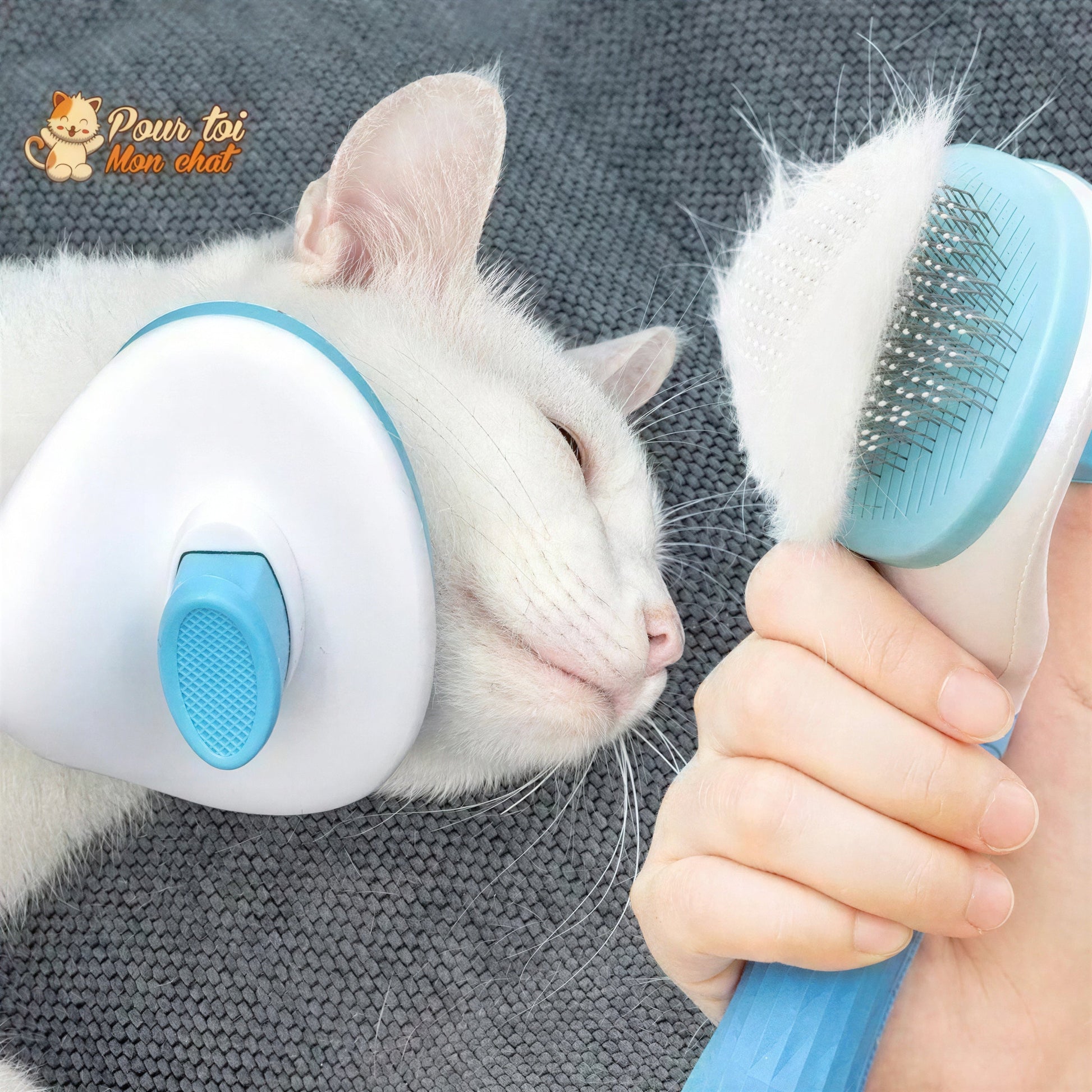 Brosse et peigne pour Poils de Chat - CleanyBrush™ Pour toi Mon chat