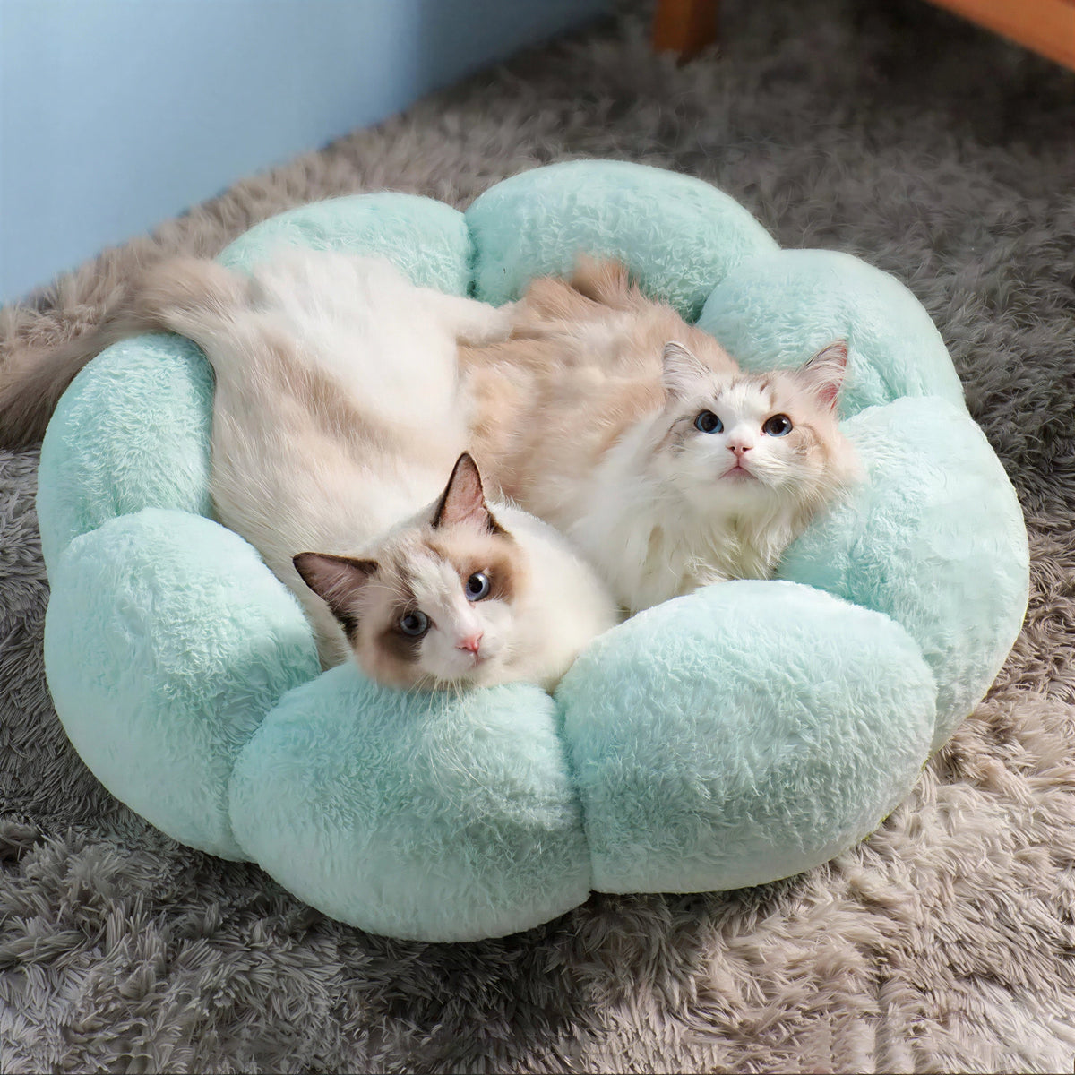 Lit de chat doux et lavable Pour toi Mon chat
