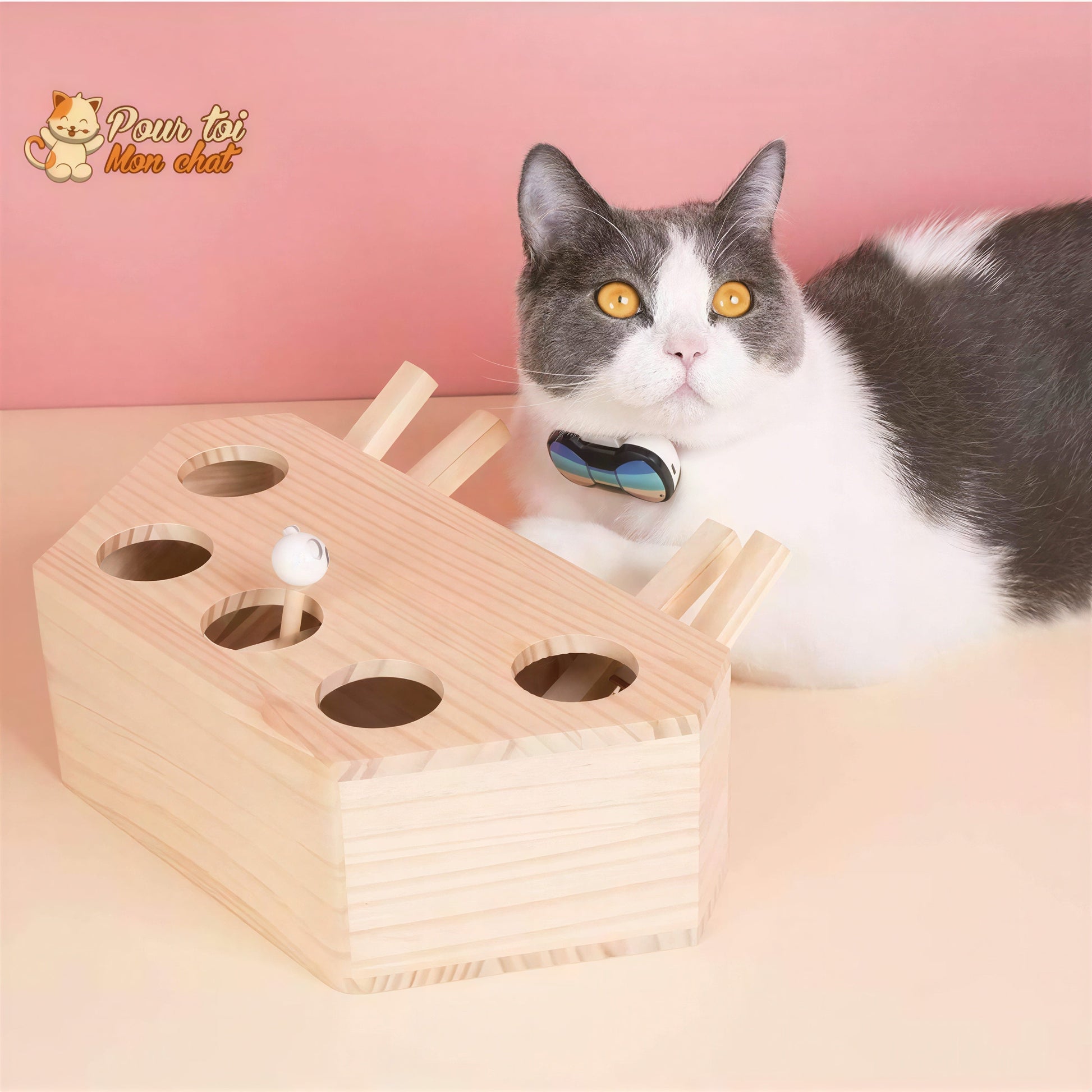 Jeu éducatif en bois - AttrapCat'™ Pour toi Mon chat