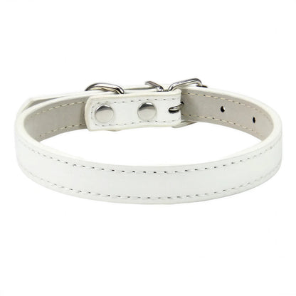 Collier en cuir souple et solide pour gros chat Pour toi Mon chat