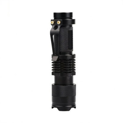 Lampe de poche LED pour inspecter les traces d'urine de chat - vue 2