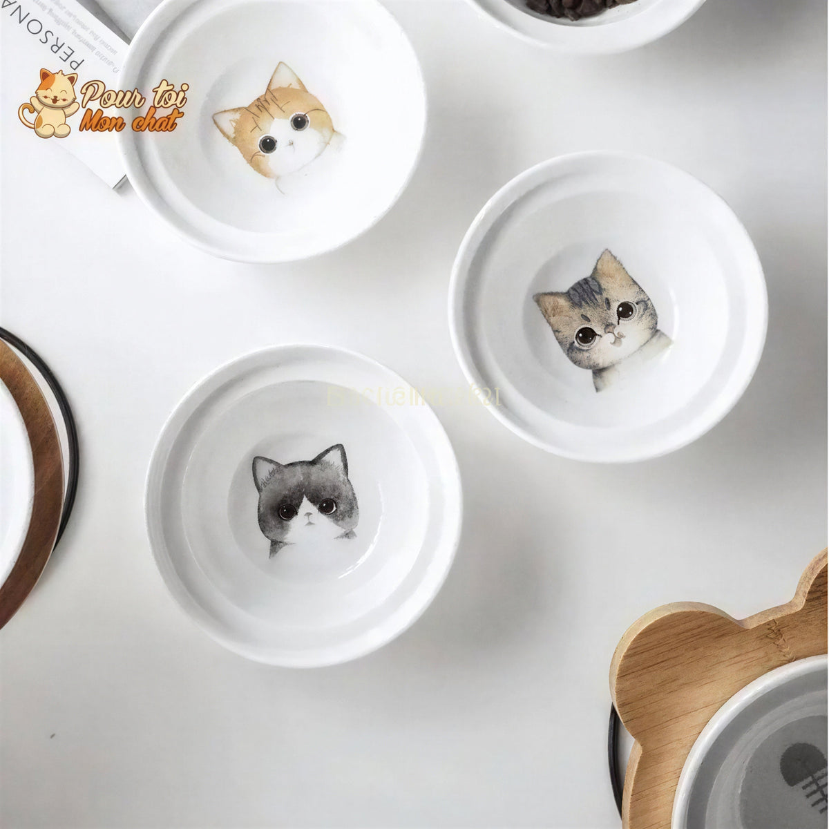Bols d’alimentation et de boisson en céramique pour chats - MonChatBol™ Pour toi Mon chat