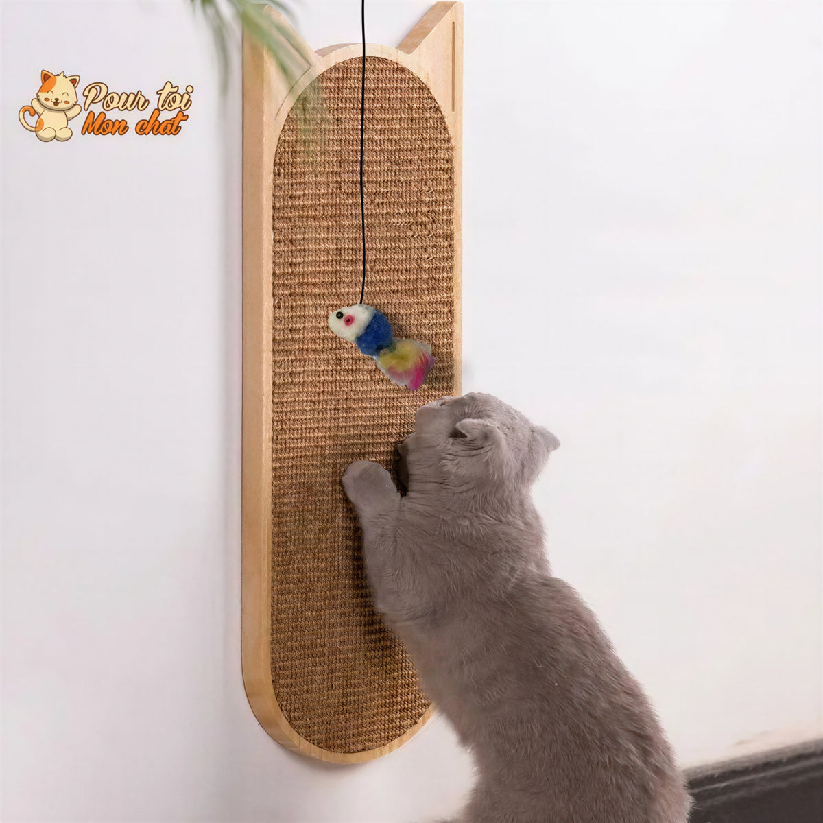 Grattoir mural en sisal pour chat - vue 10