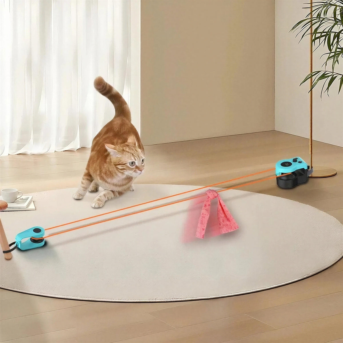 Jouet pour Chat Electronique à Ventouse Pour toi Mon chat