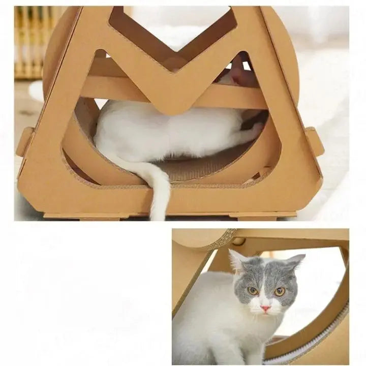 Roue pour Chat et Grattoir en Carton