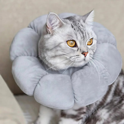 Collerette pour Chat en Forme de Fleur Pour toi Mon chat