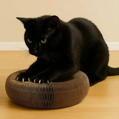 Griffoir Chat - Jouet pour Chat en Carton Ondulé avec Balle Pour toi Mon chat