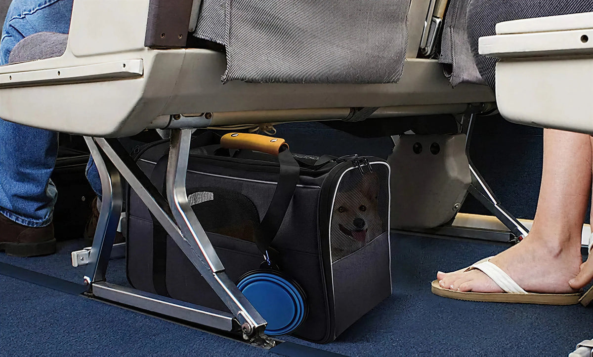 Sac de voyage pliable et portable pour chat Pour toi Mon chat