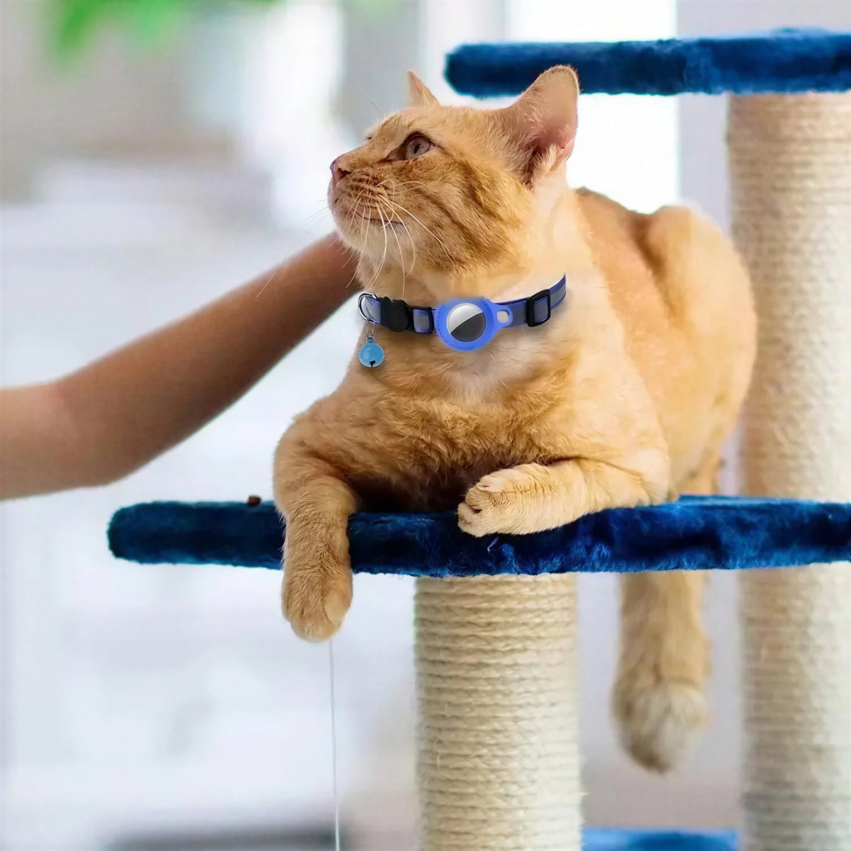 Collier Anti Fugue avec Clochette et Emplacement pour Airtag Pour toi Mon chat